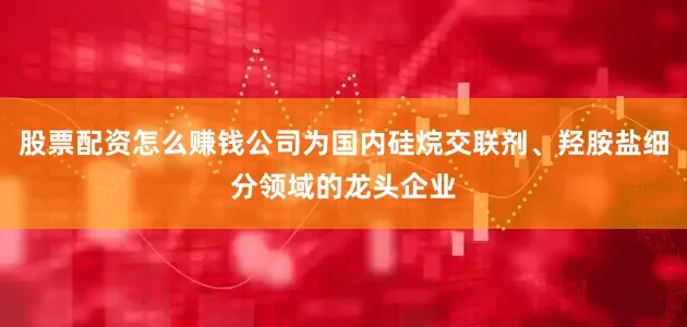 股票配资怎么赚钱公司为国内硅烷交联剂、羟胺盐细分领域的龙头企业