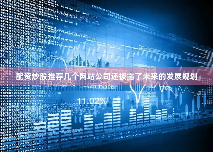配资炒股推荐几个网站公司还披露了未来的发展规划