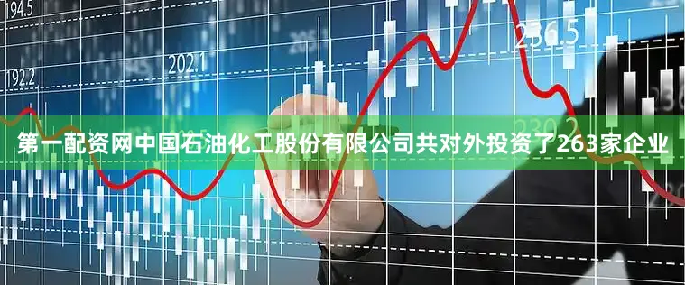 第一配资网中国石油化工股份有限公司共对外投资了263家企业