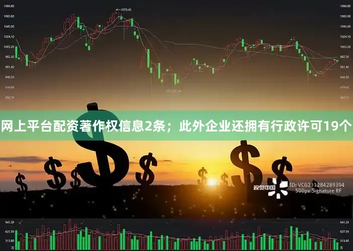 网上平台配资著作权信息2条；此外企业还拥有行政许可19个