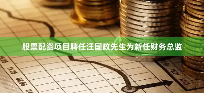 股票配资项目聘任汪国政先生为新任财务总监