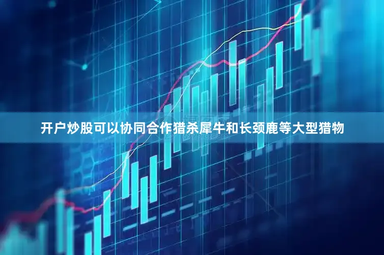 开户炒股可以协同合作猎杀犀牛和长颈鹿等大型猎物