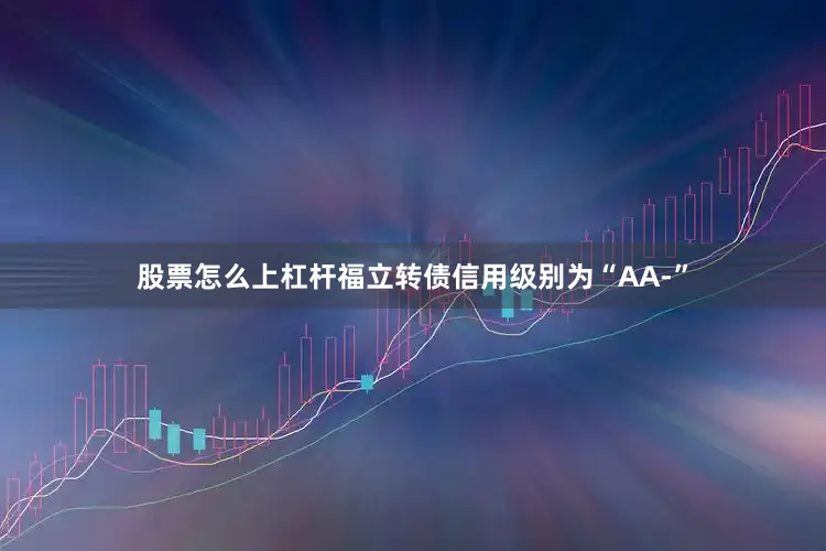 股票怎么上杠杆福立转债信用级别为“AA-”