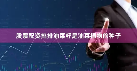 股票配资排排油菜籽是油菜植物的种子